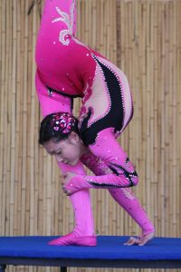 Chinese Culture Days at the Missouri Botanical Garden Image